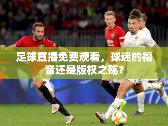 足球直播免费观看，球迷的福音还是版权之殇？