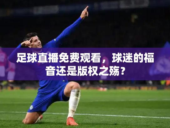 足球直播免费观看，球迷的福音还是版权之殇？
