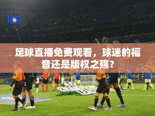 足球直播免费观看，球迷的福音还是版权之殇？