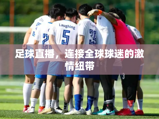 足球直播，连接全球球迷的激情纽带