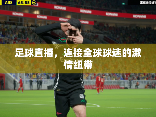 足球直播，连接全球球迷的激情纽带