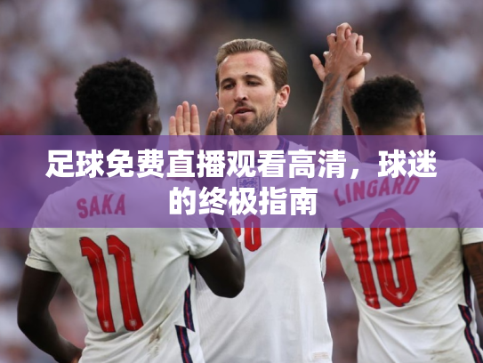 足球免费直播观看高清，球迷的终极指南