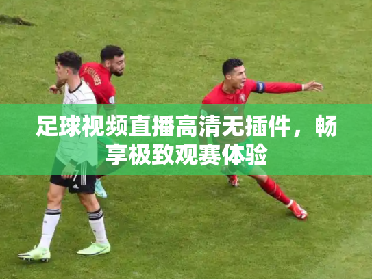 足球视频直播高清无插件，畅享极致观赛体验