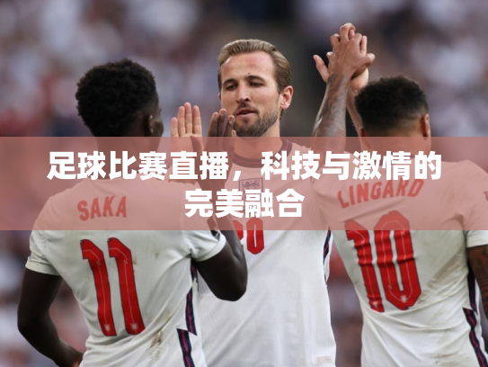 足球比赛直播，科技与激情的完美融合