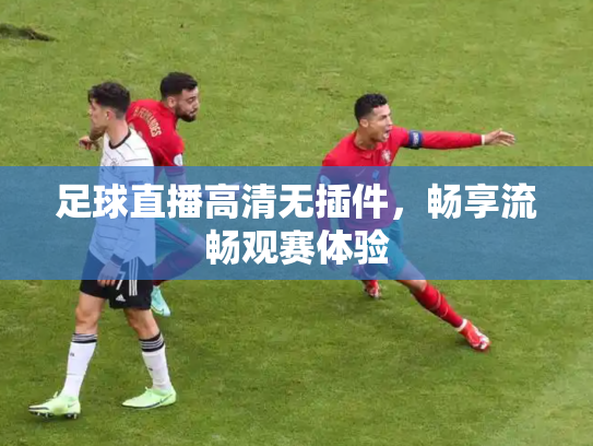 足球直播高清无插件，畅享流畅观赛体验