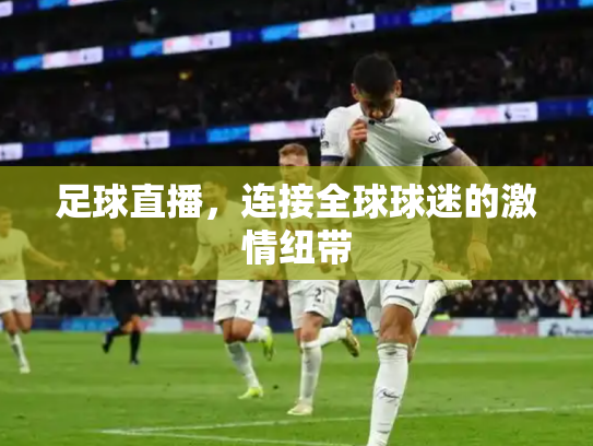 足球直播，连接全球球迷的激情纽带