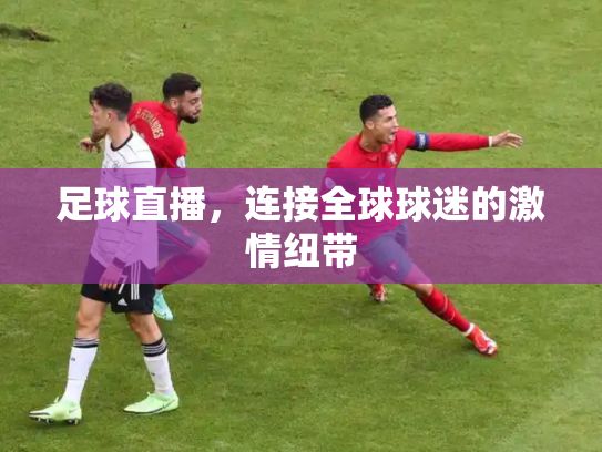 足球直播，连接全球球迷的激情纽带