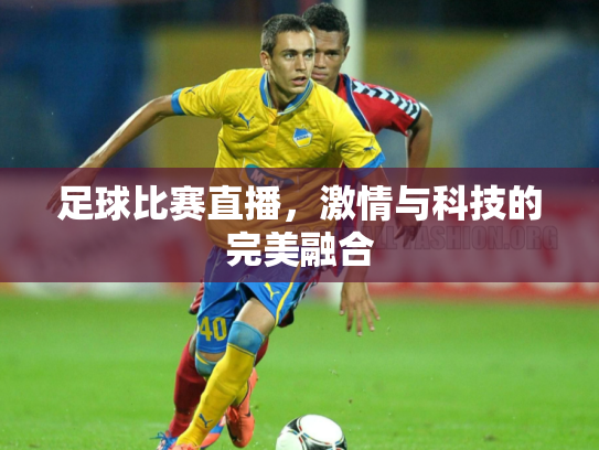 足球比赛直播，激情与科技的完美融合