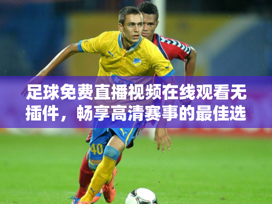 足球免费直播视频在线观看无插件，畅享高清赛事的最佳选择