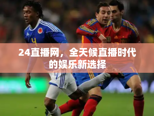 24直播网，全天候直播时代的娱乐新选择