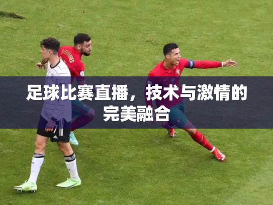 足球比赛直播，技术与激情的完美融合