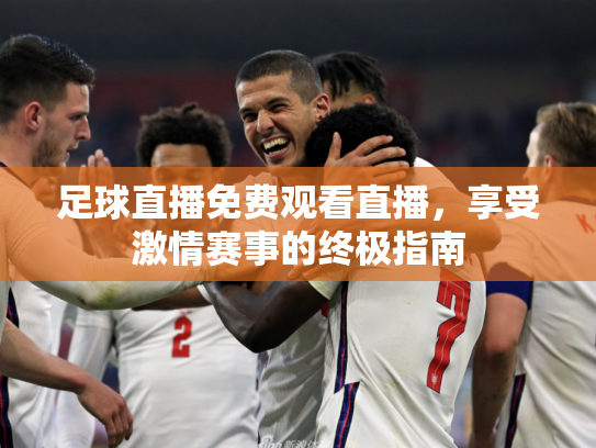 足球直播免费观看直播，享受激情赛事的终极指南
