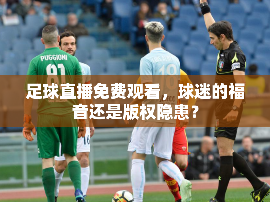 足球直播免费观看，球迷的福音还是版权隐患？