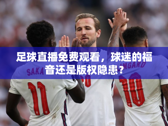 足球直播免费观看，球迷的福音还是版权隐患？