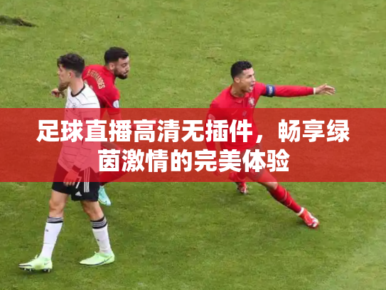 足球直播高清无插件，畅享绿茵激情的完美体验