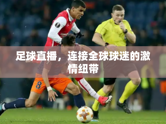 足球直播，连接全球球迷的激情纽带