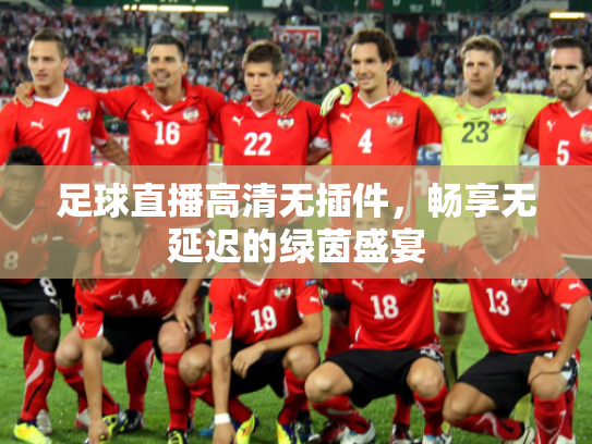 足球直播高清无插件，畅享无延迟的绿茵盛宴