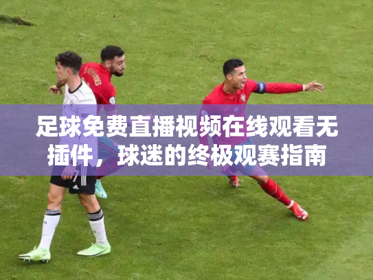 足球免费直播视频在线观看无插件，球迷的终极观赛指南