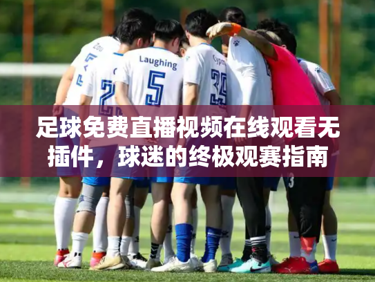 足球免费直播视频在线观看无插件，球迷的终极观赛指南