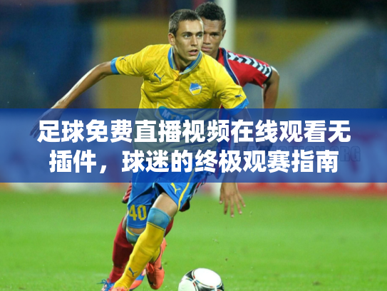 足球免费直播视频在线观看无插件，球迷的终极观赛指南