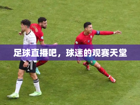 足球直播吧，球迷的观赛天堂