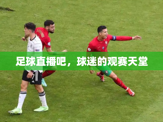 足球直播吧，球迷的观赛天堂