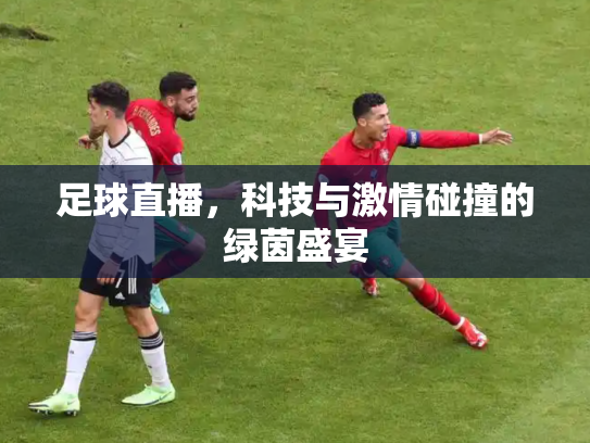 足球直播，科技与激情碰撞的绿茵盛宴