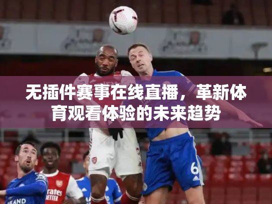 无插件赛事在线直播，革新体育观看体验的未来趋势