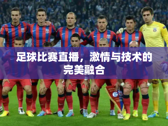 足球比赛直播，激情与技术的完美融合