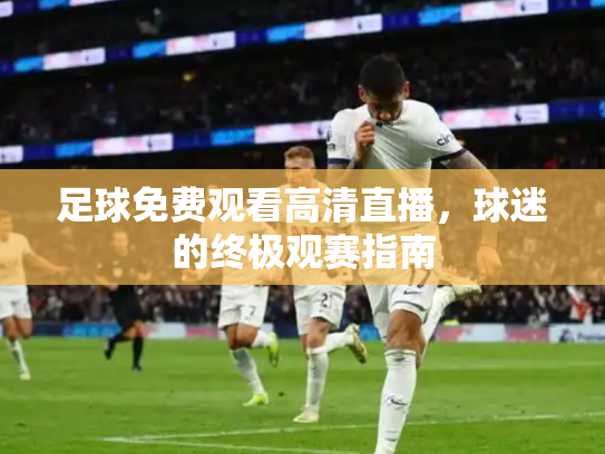 足球免费观看高清直播，球迷的终极观赛指南